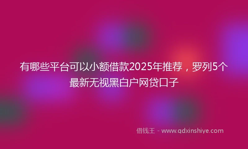 有哪些平台可以小额借款2025年推荐，罗列5个最新无视黑白户网贷口子