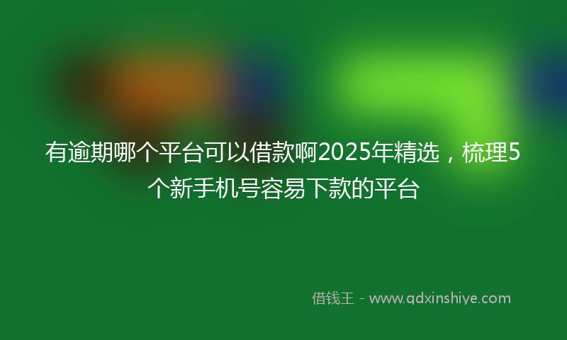 有逾期哪个平台可以借款啊2025年精选，梳理5个新手机号容易下款的平台