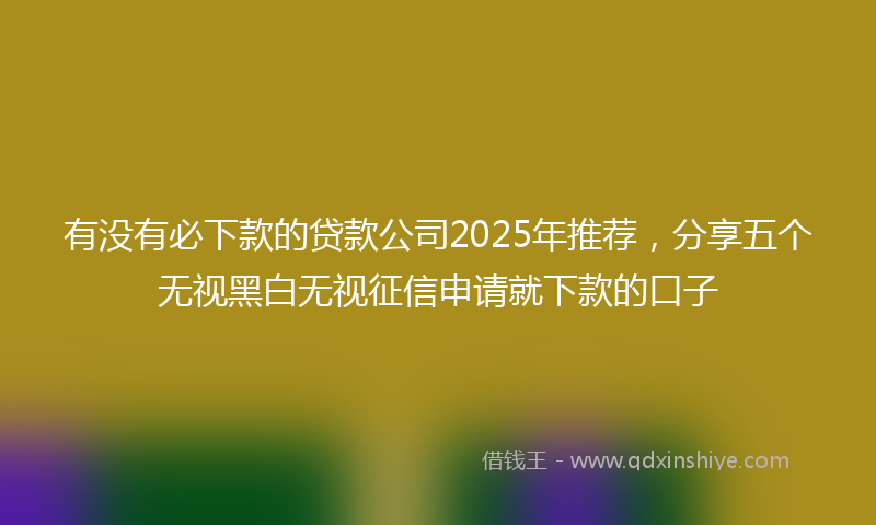 有没有必下款的贷款公司2025年推荐，分享五个无视黑白无视征信申请就下款的口子