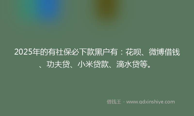 2025年的有社保必下款黑户有：花呗、微博借钱、功夫贷、小米贷款、滴水贷等。