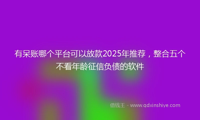 有呆账哪个平台可以放款2025年推荐，整合五个不看年龄征信负债的软件