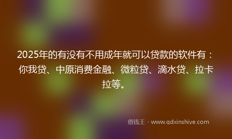 2025年的有没有不用成年就可以贷款的软件有：你我贷、中原消费金融、微粒贷、滴水贷、拉卡拉等。