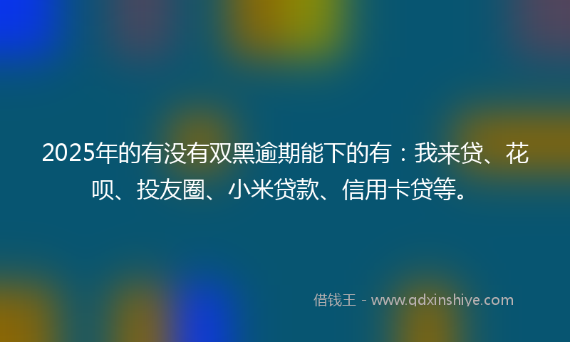 2025年的有没有双黑逾期能下的有：我来贷、花呗、投友圈、小米贷款、信用卡贷等。