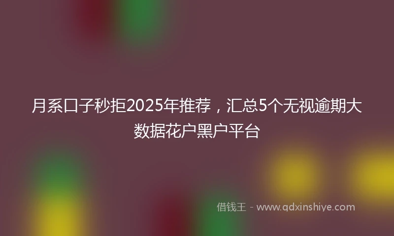 月系口子秒拒2025年推荐，汇总5个无视逾期大数据花户黑户平台