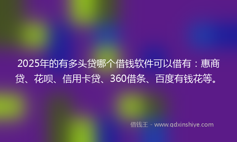 2025年的有多头贷哪个借钱软件可以借有：惠商贷、花呗、信用卡贷、360借条、百度有钱花等。