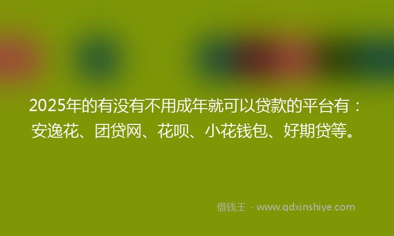 2025年的有没有不用成年就可以贷款的平台有：安逸花、团贷网、花呗、小花钱包、好期贷等。