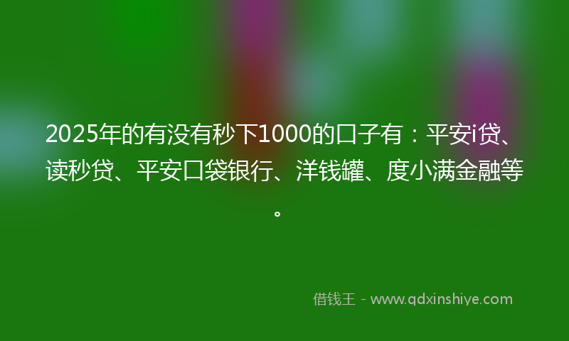 2025年的有没有秒下1000的口子有:平安i贷、读秒贷、平安口袋银行、洋钱罐、度小满金融等。