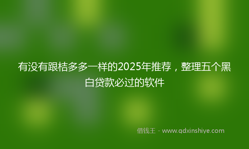 有没有跟桔多多一样的2025年推荐，整理五个黑白贷款必过的软件