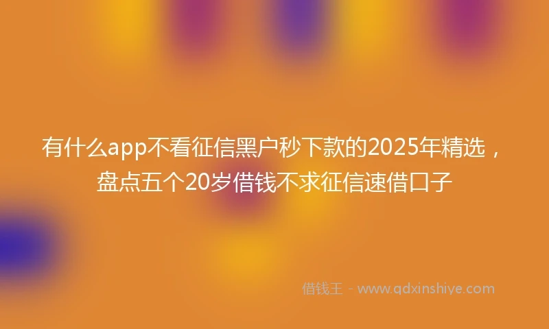 有什么app不看征信黑户秒下款的2025年精选，盘点五个20岁借钱不求征信速借口子