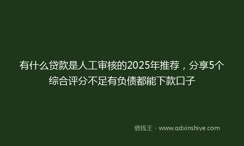 有什么贷款是人工审核的2025年推荐，分享5个综合评分不足有负债都能下款口子