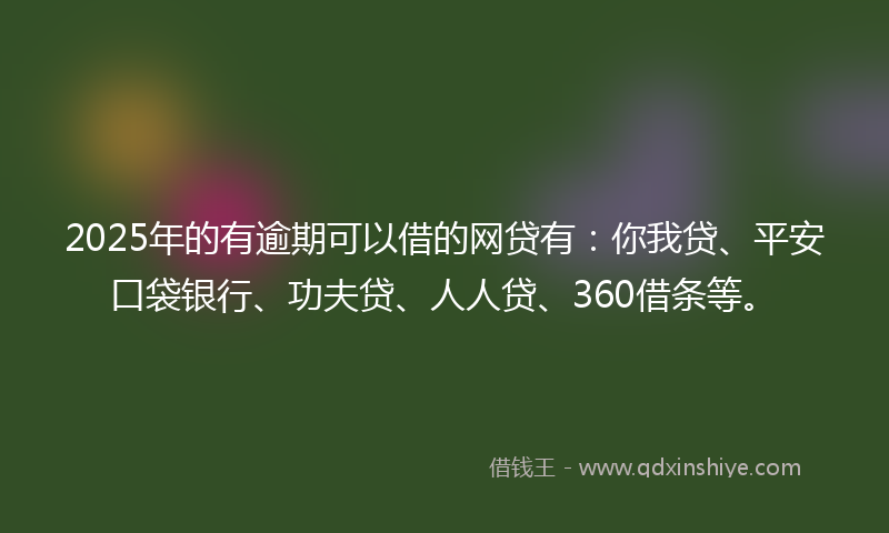 2025年的有逾期可以借的网贷有：你我贷、平安口袋银行、功夫贷、人人贷、360借条等。