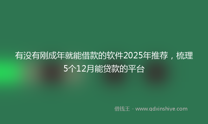 有没有刚成年就能借款的软件2025年推荐，梳理5个12月能贷款的平台
