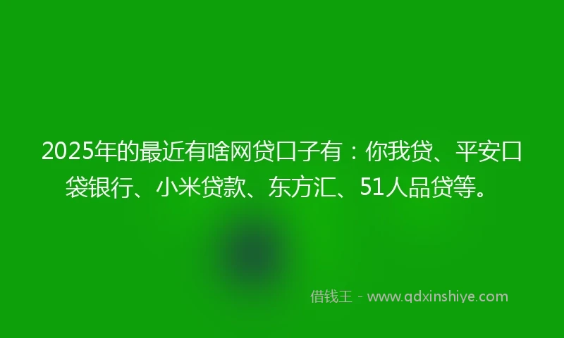2025年的最近有啥网贷口子有：你我贷、平安口袋银行、小米贷款、东方汇、51人品贷等。