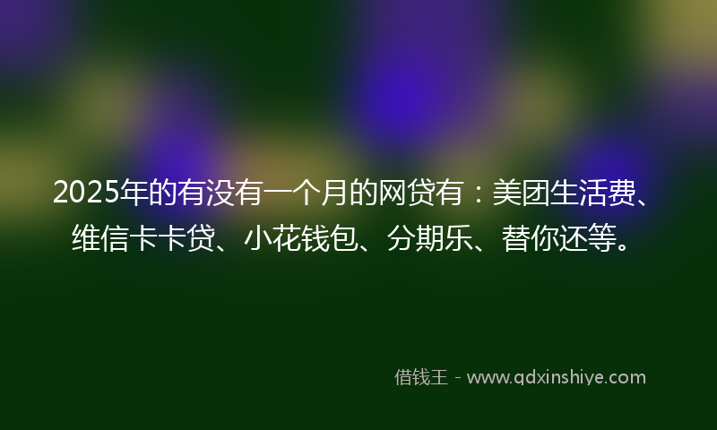 2025年的有没有一个月的网贷有：美团生活费、维信卡卡贷、小花钱包、分期乐、替你还等。