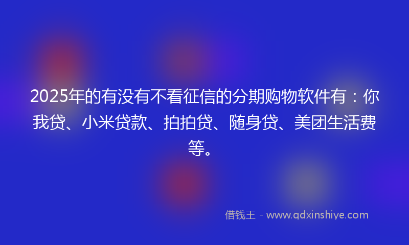 2025年的有没有不看征信的分期购物软件有：你我贷、小米贷款、拍拍贷、随身贷、美团生活费等。