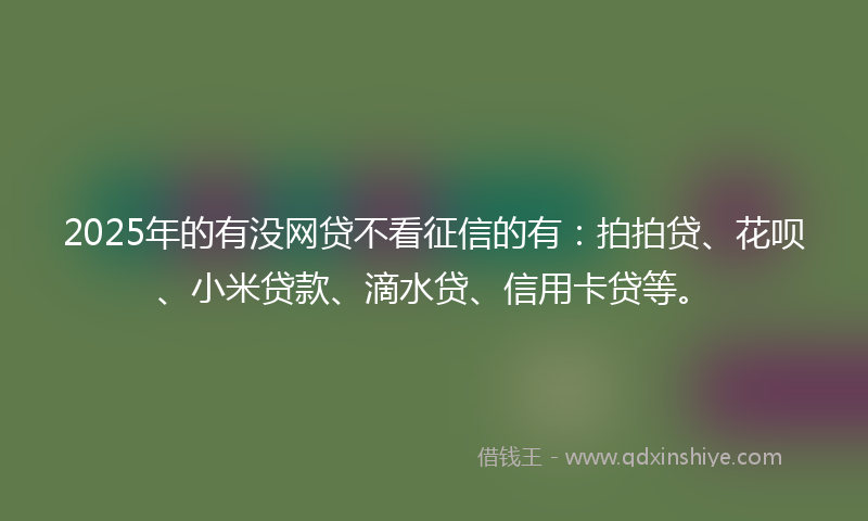 2025年的有没网贷不看征信的有：拍拍贷、花呗、小米贷款、滴水贷、信用卡贷等。
