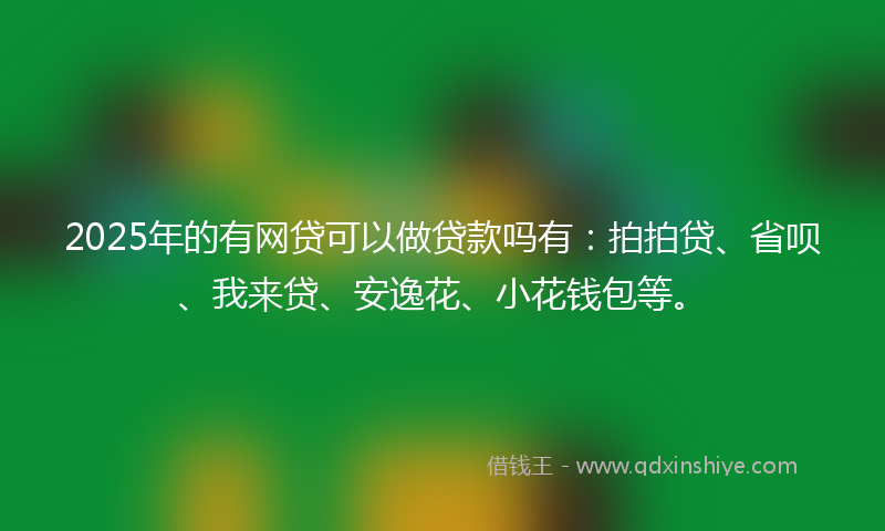 2025年的有网贷可以做贷款吗有：拍拍贷、省呗、我来贷、安逸花、小花钱包等。