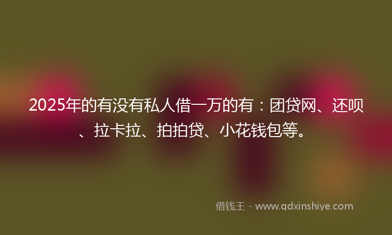 2025年的有没有私人借一万的有：团贷网、还呗、拉卡拉、拍拍贷、小花钱包等。