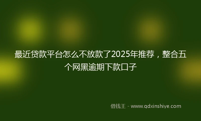 最近贷款平台怎么不放款了2025年推荐，整合五个网黑逾期下款口子