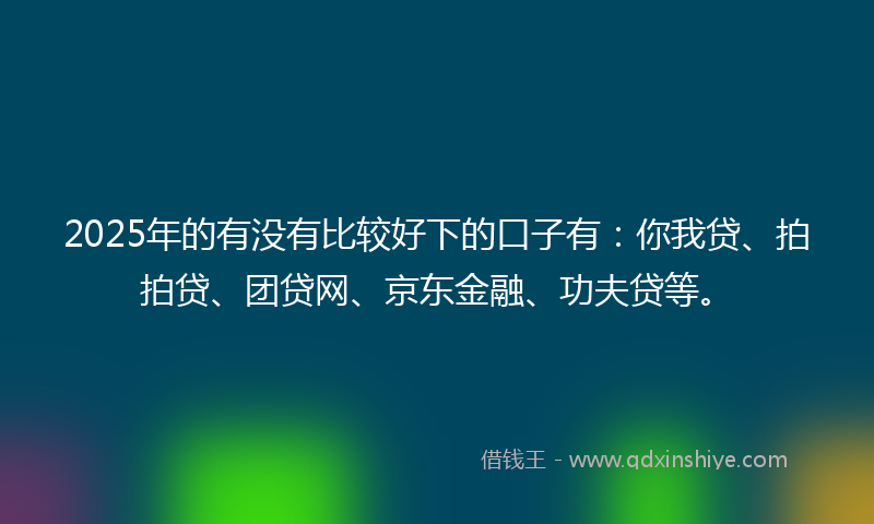 2025年的有没有比较好下的口子有：你我贷、拍拍贷、团贷网、京东金融、功夫贷等。