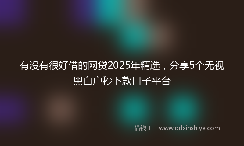 有没有很好借的网贷2025年精选，分享5个无视黑白户秒下款口子平台