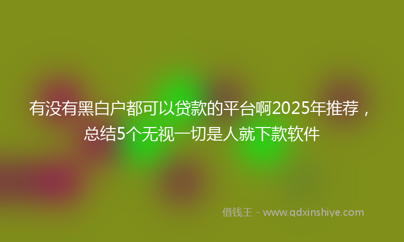 有没有黑白户都可以贷款的平台啊2025年推荐，总结5个无视一切是人就下款软件