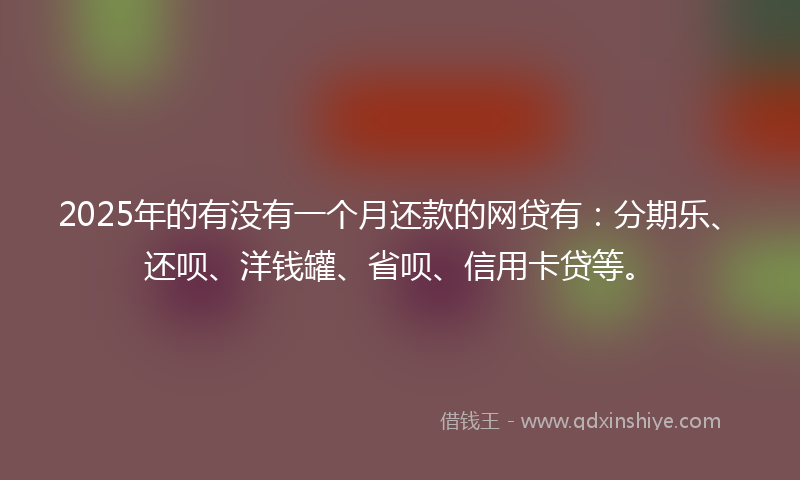 2025年的有没有一个月还款的网贷有：分期乐、还呗、洋钱罐、省呗、信用卡贷等。