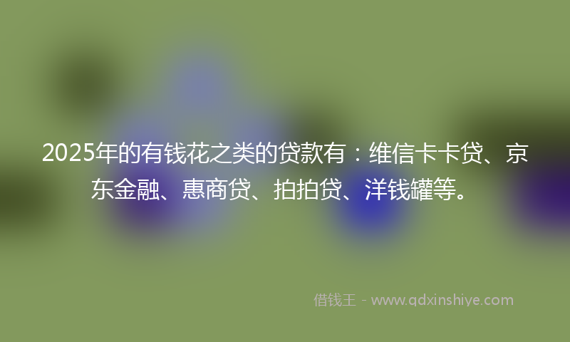 2025年的有钱花之类的贷款有：维信卡卡贷、京东金融、惠商贷、拍拍贷、洋钱罐等。