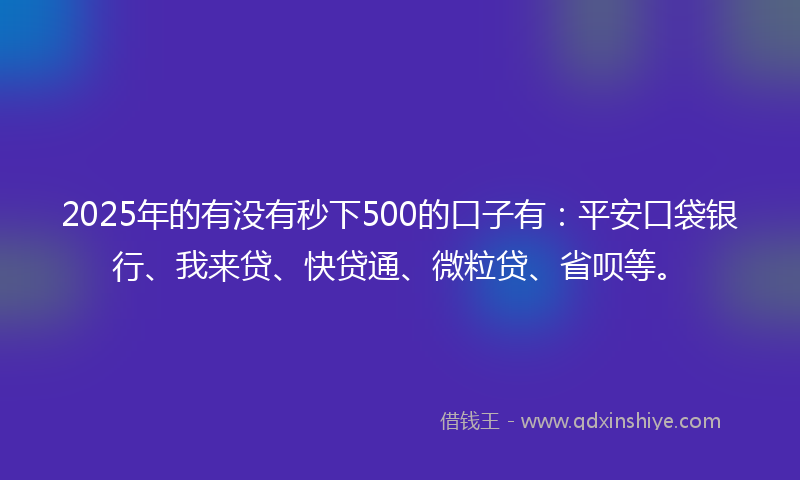 2025年的有没有秒下500的口子有：平安口袋银行、我来贷、快贷通、微粒贷、省呗等。