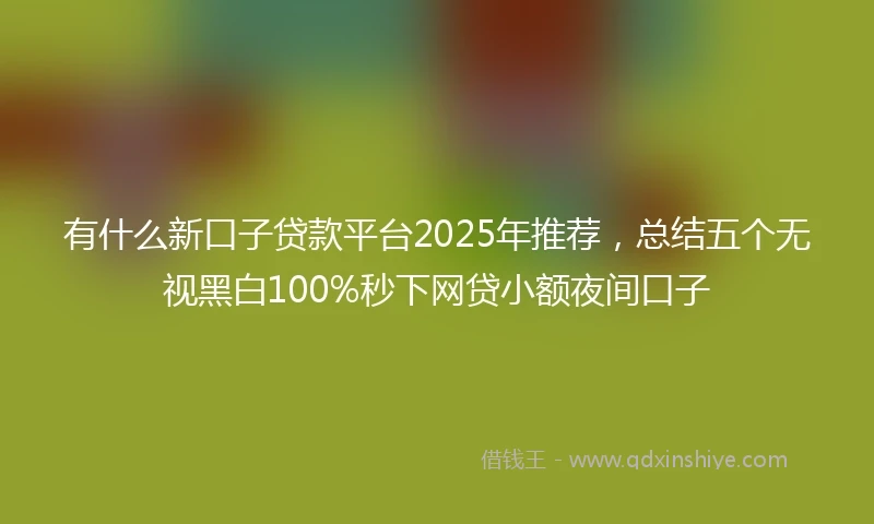 有什么新口子贷款平台2025年推荐，总结五个无视黑白100%秒下网贷小额夜间口子