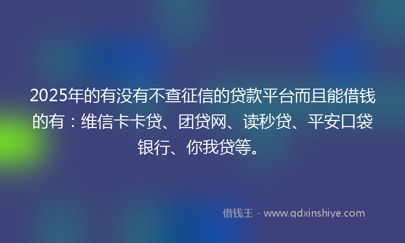 2025年的有没有不查征信的贷款平台而且能借钱的有：维信卡卡贷、团贷网、读秒贷、平安口袋银行、你我贷等。