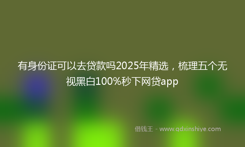 有身份证可以去贷款吗2025年精选，梳理五个无视黑白100%秒下网贷app