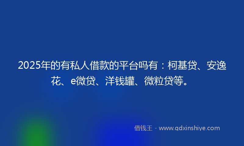 2025年的有私人借款的平台吗有：柯基贷、安逸花、e微贷、洋钱罐、微粒贷等。
