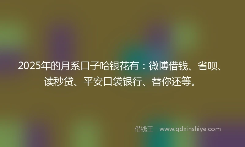 2025年的月系口子哈银花有：微博借钱、省呗、读秒贷、平安口袋银行、替你还等。