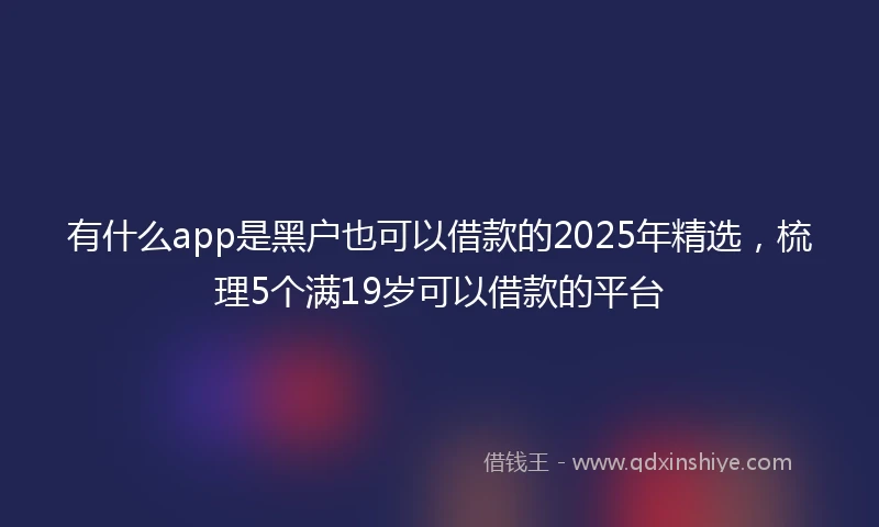 有什么app是黑户也可以借款的2025年精选，梳理5个满19岁可以借款的平台