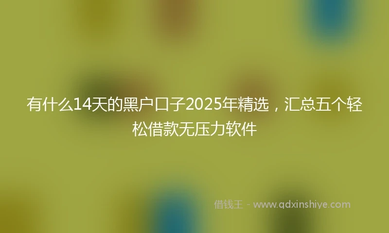 有什么14天的黑户口子2025年精选，汇总五个轻松借款无压力软件