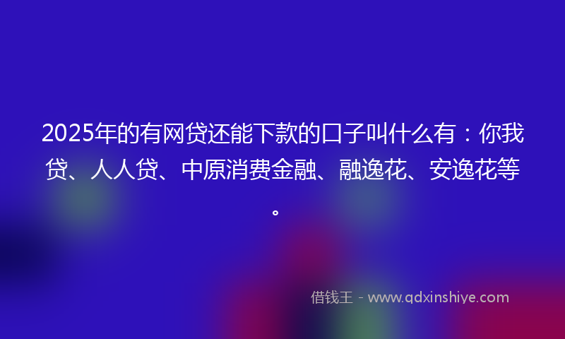 2025年的有网贷还能下款的口子叫什么有：你我贷、人人贷、中原消费金融、融逸花、安逸花等。
