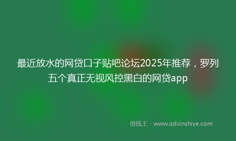 最近放水的网贷口子贴吧论坛2025年推荐，罗列五个真正无视风控黑白的网贷app