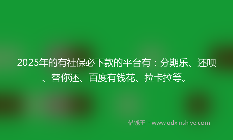 2025年的有社保必下款的平台有：分期乐、还呗、替你还、百度有钱花、拉卡拉等。