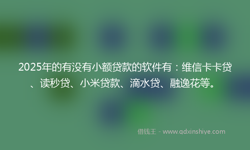 2025年的有没有小额贷款的软件有:维信卡卡贷、读秒贷、小米贷款、滴水贷、融逸花等。