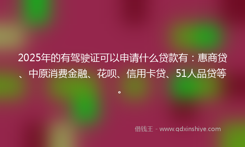 2025年的有驾驶证可以申请什么贷款有：惠商贷、中原消费金融、花呗、信用卡贷、51人品贷等。