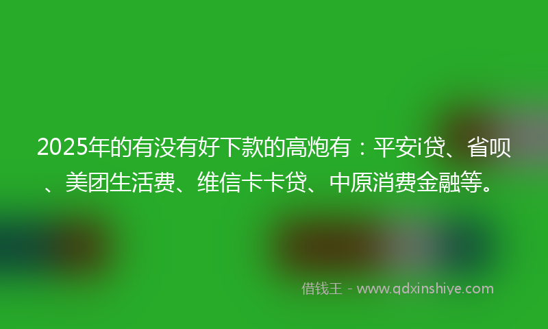 2025年的有没有好下款的高炮有：平安i贷、省呗、美团生活费、维信卡卡贷、中原消费金融等。