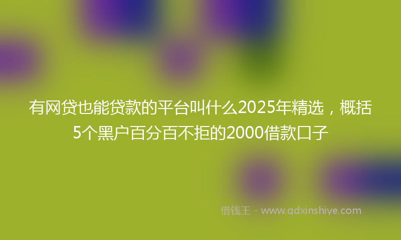 有网贷也能贷款的平台叫什么2025年精选，概括5个黑户百分百不拒的2000借款口子