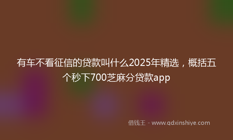 有车不看征信的贷款叫什么2025年精选，概括五个秒下700芝麻分贷款app