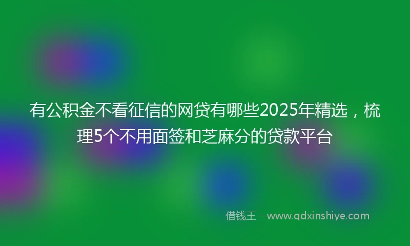 有公积金不看征信的网贷有哪些2025年精选，梳理5个不用面签和芝麻分的贷款平台