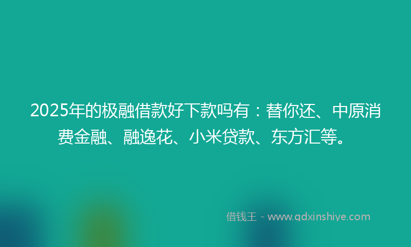 2025年的极融借款好下款吗有：替你还、中原消费金融、融逸花、小米贷款、东方汇等。