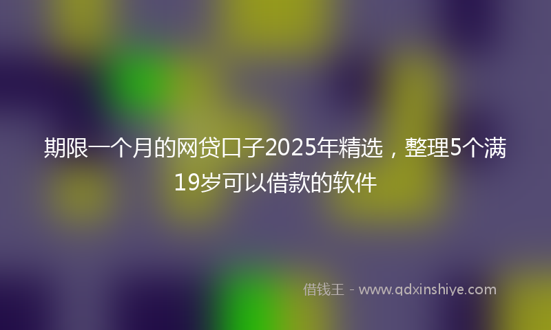 期限一个月的网贷口子2025年精选，整理5个满19岁可以借款的软件