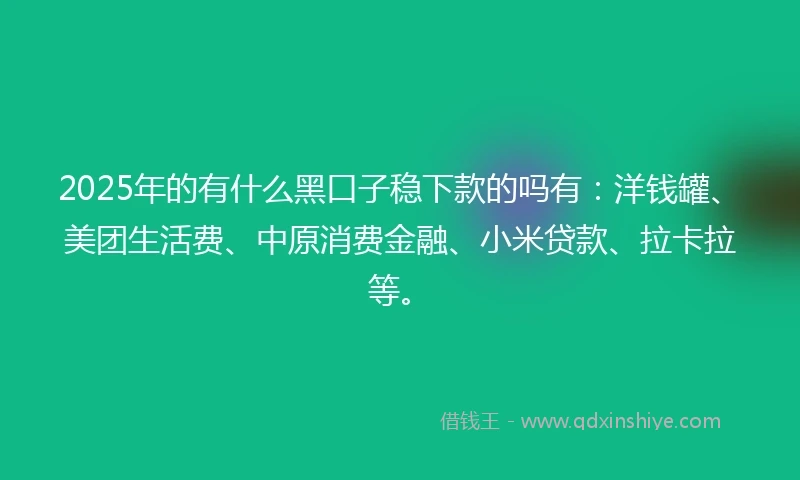 2025年的有什么黑口子稳下款的吗有：洋钱罐、美团生活费、中原消费金融、小米贷款、拉卡拉等。