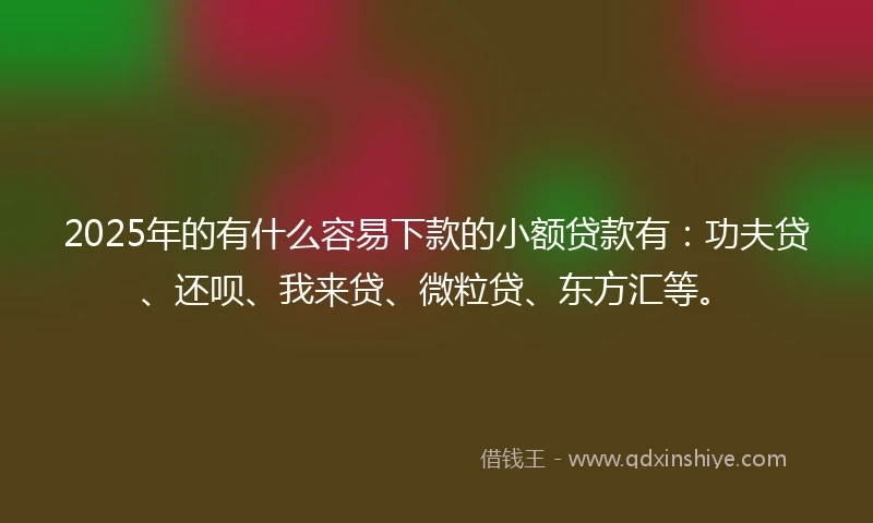 2025年的有什么容易下款的小额贷款有：功夫贷、还呗、我来贷、微粒贷、东方汇等。