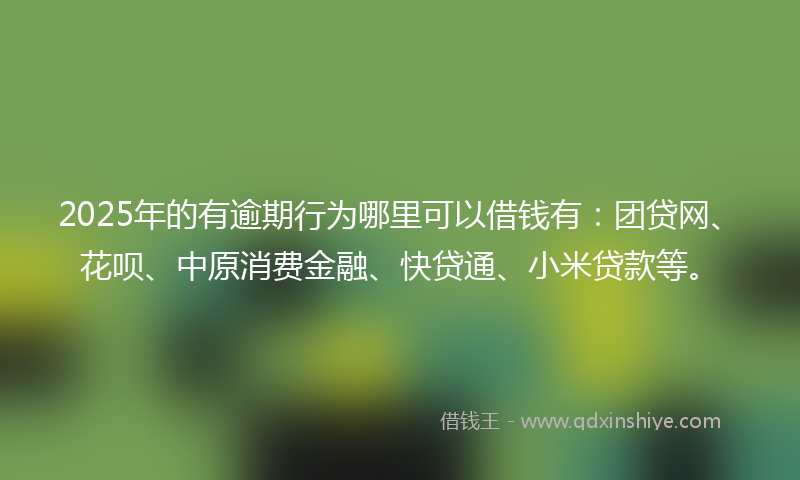 2025年的有逾期行为哪里可以借钱有：团贷网、花呗、中原消费金融、快贷通、小米贷款等。